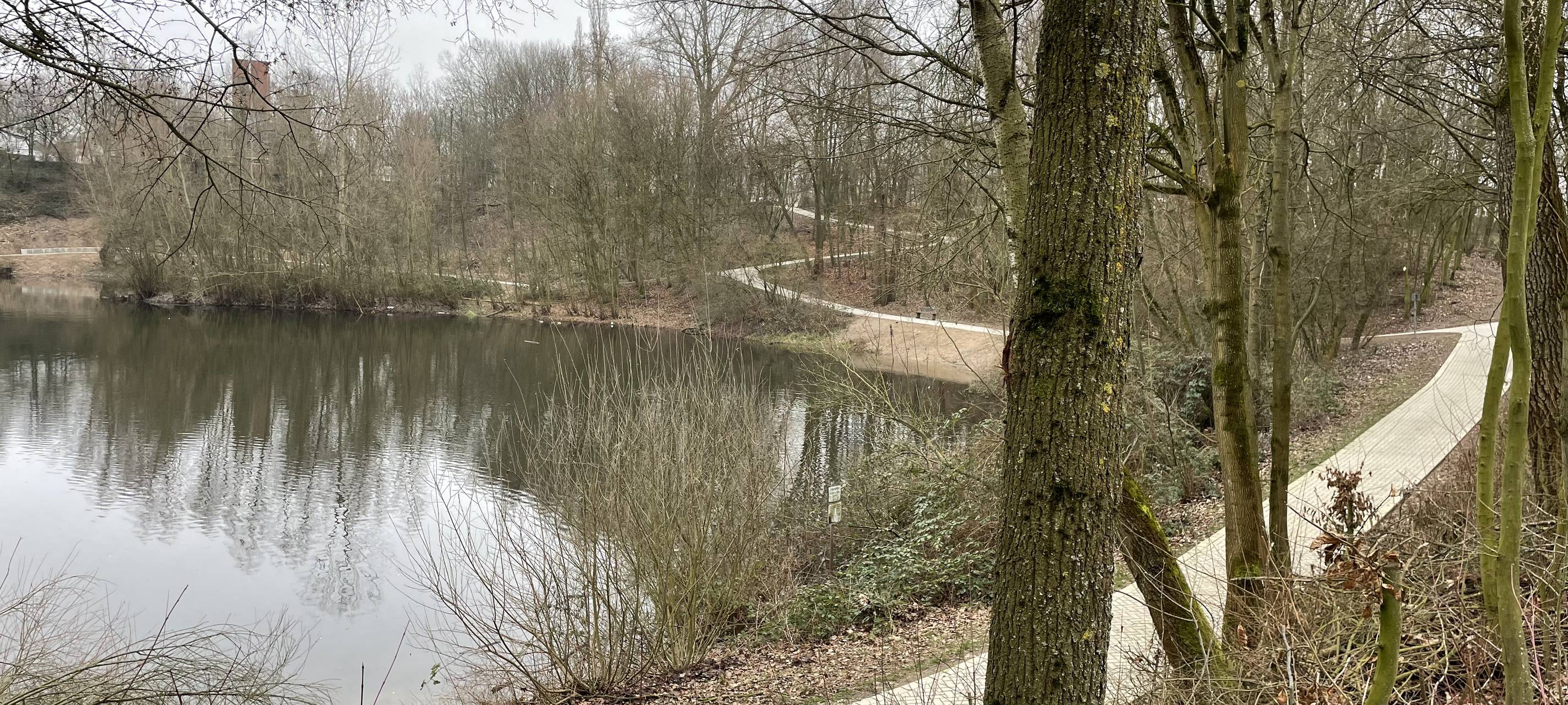 Sanierungsprojekt Rheindorfer See abgeschlossen