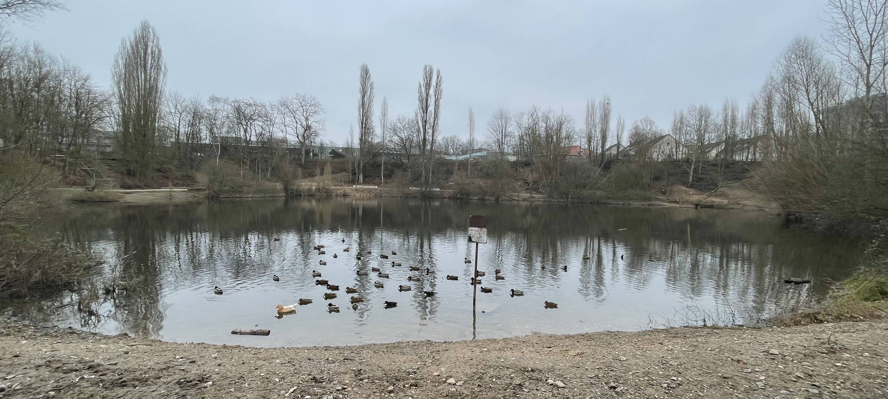 Sanierungsprojekt Rheindorfer See abgeschlossen