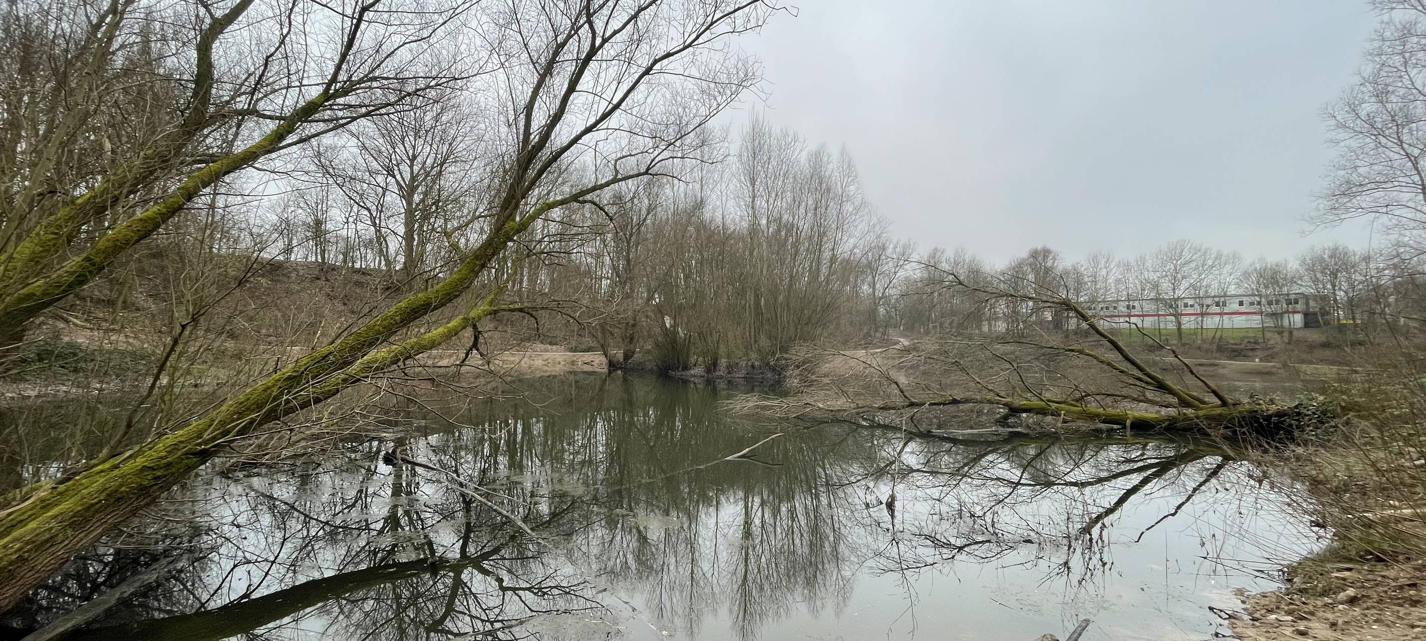 Sanierungsprojekt Rheindorfer See abgeschlossen