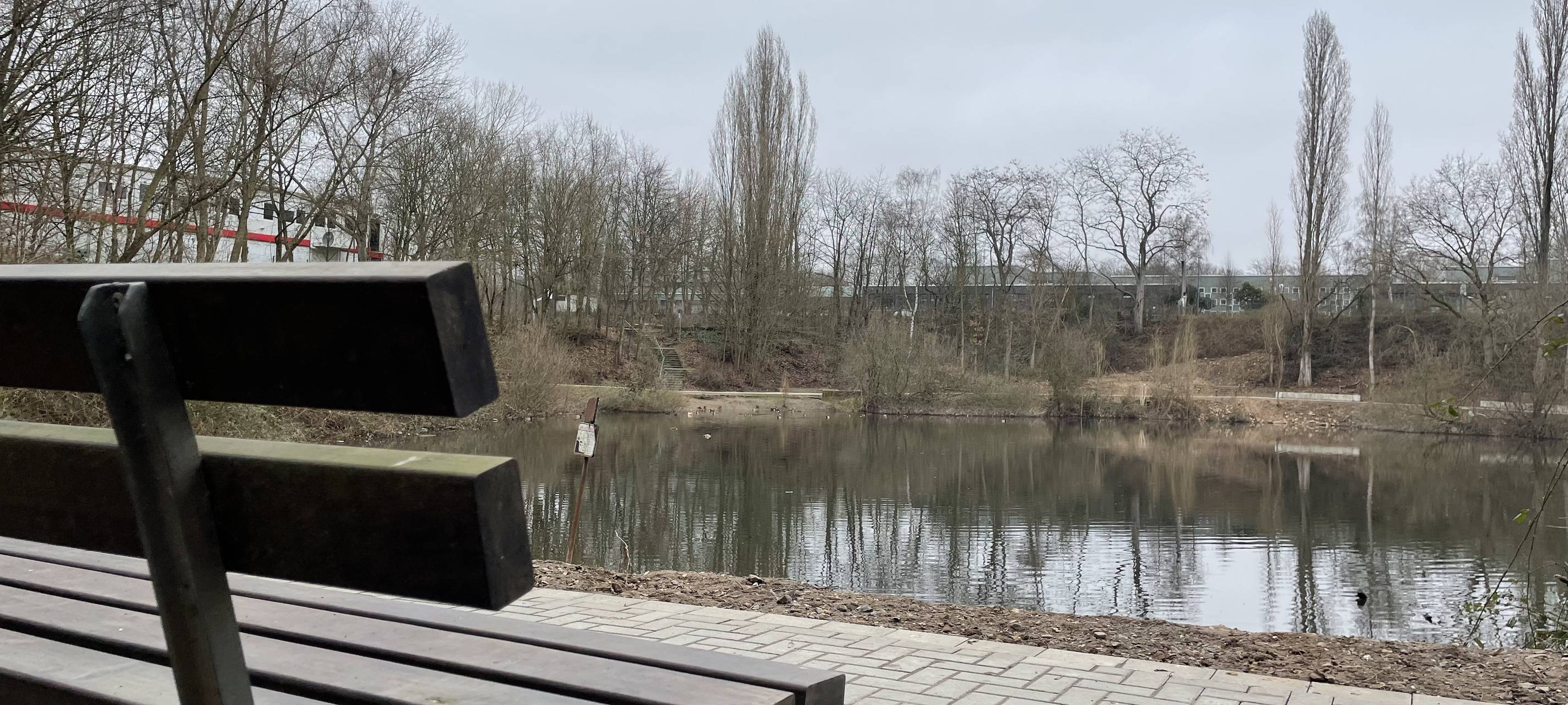 Sanierungsprojekt Rheindorfer See abgeschlossen