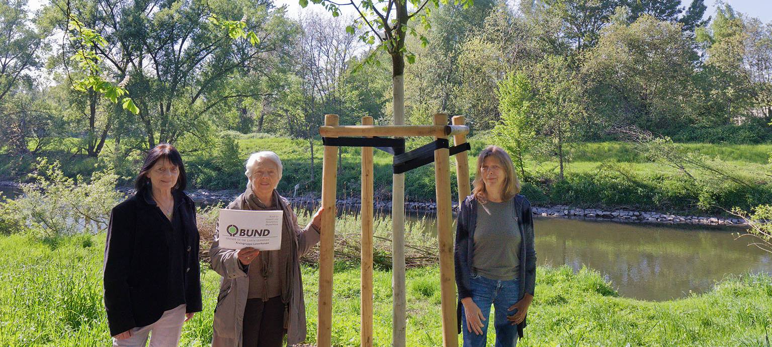 Baumpflanzungen und Begrünung in Leverkusen