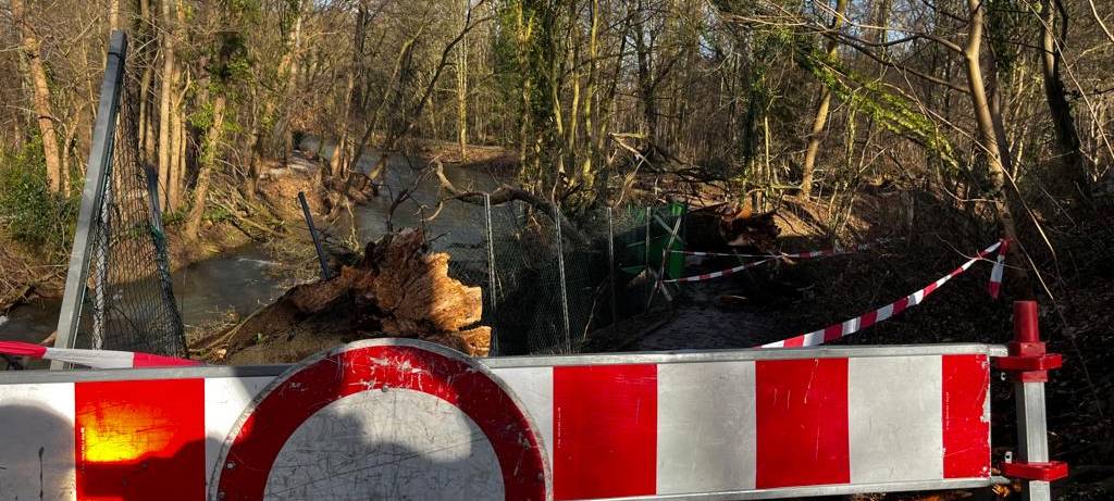 Land fördert Dhünndeich-Bau