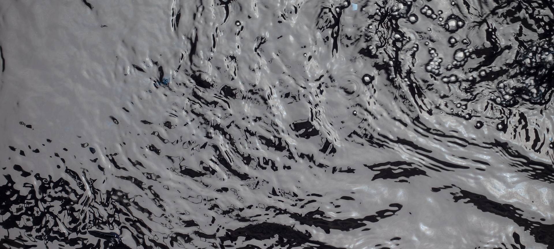 Ganze Mülltonne aus der Leverkusener Wupper gefischt