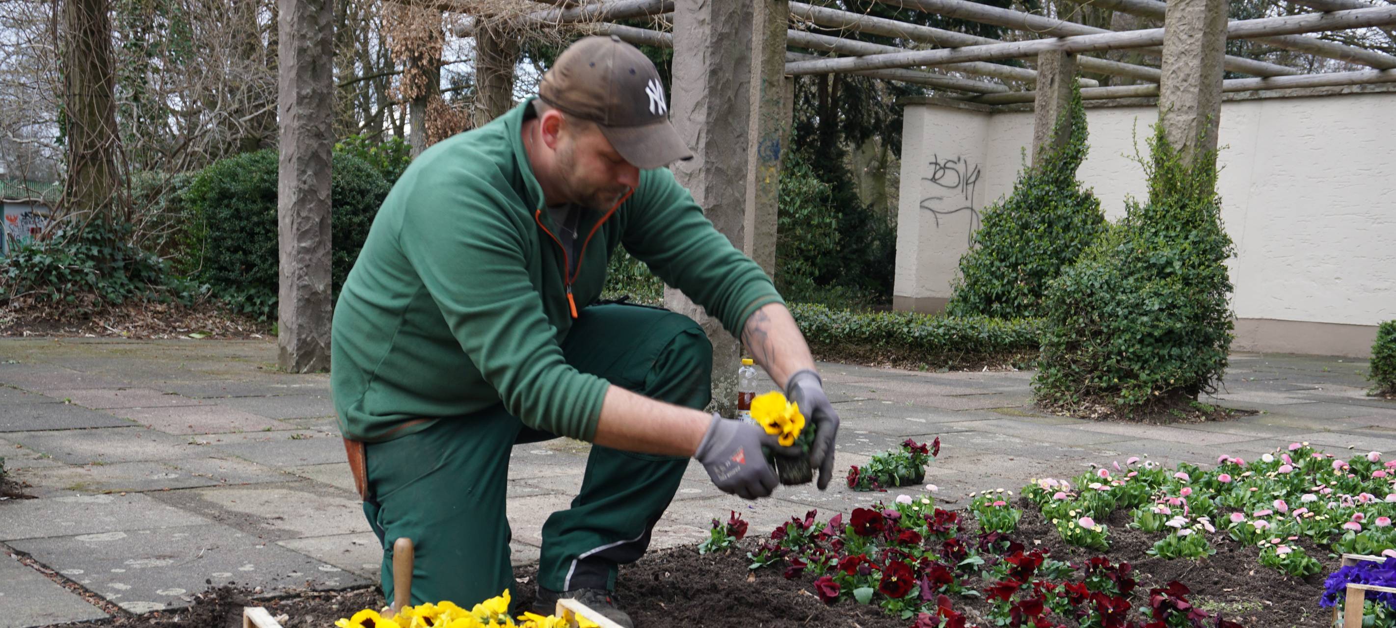 Mehr Blumen für Leverkusen