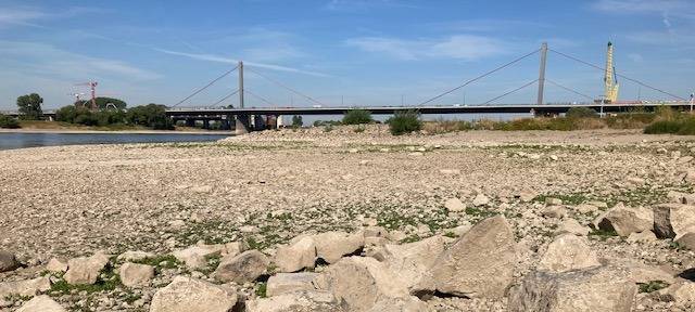 Leverkusener Firma: Covestro rüstet sich für Niedrigwasser