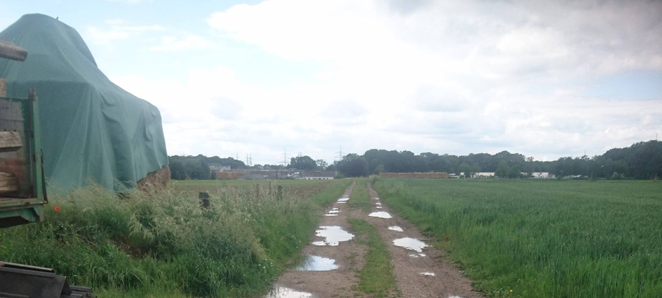 Täter gesucht nach Messerattacke in Leverkusen-Rheindorf
