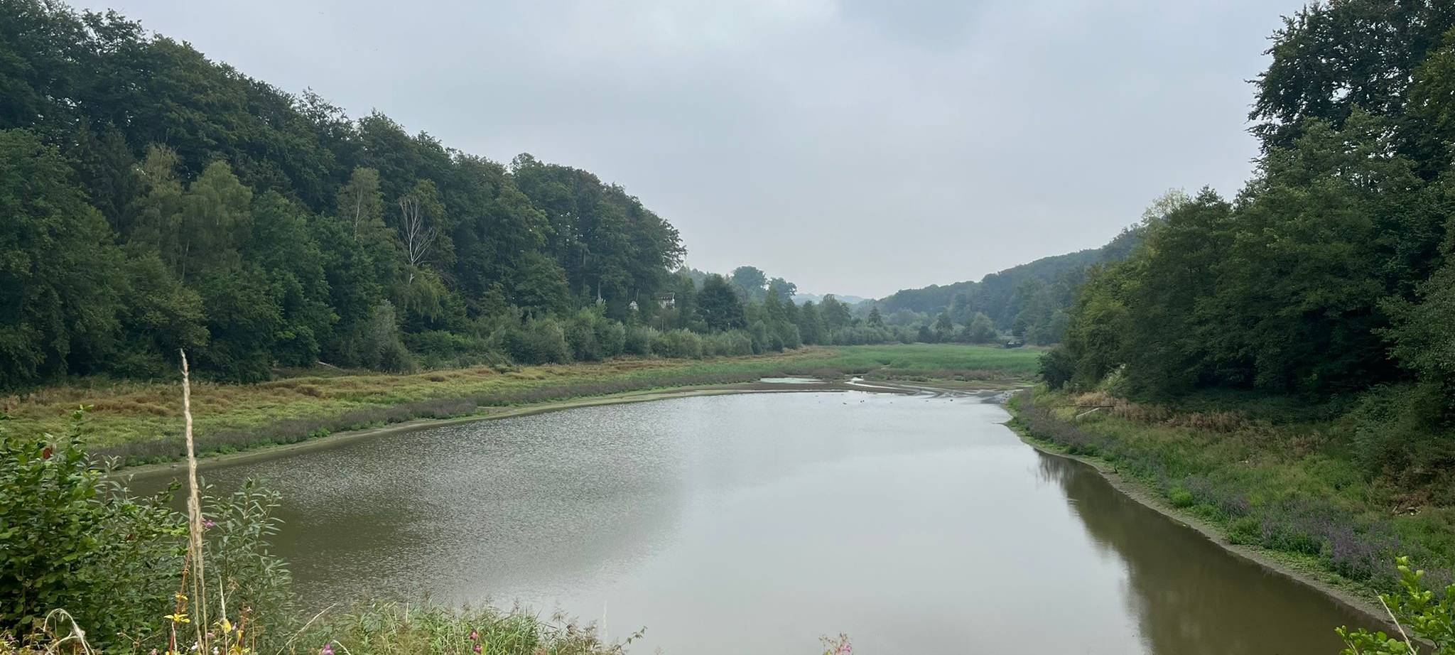 Wege rund um die Diepentalsperre in Leverkusen gesperrt