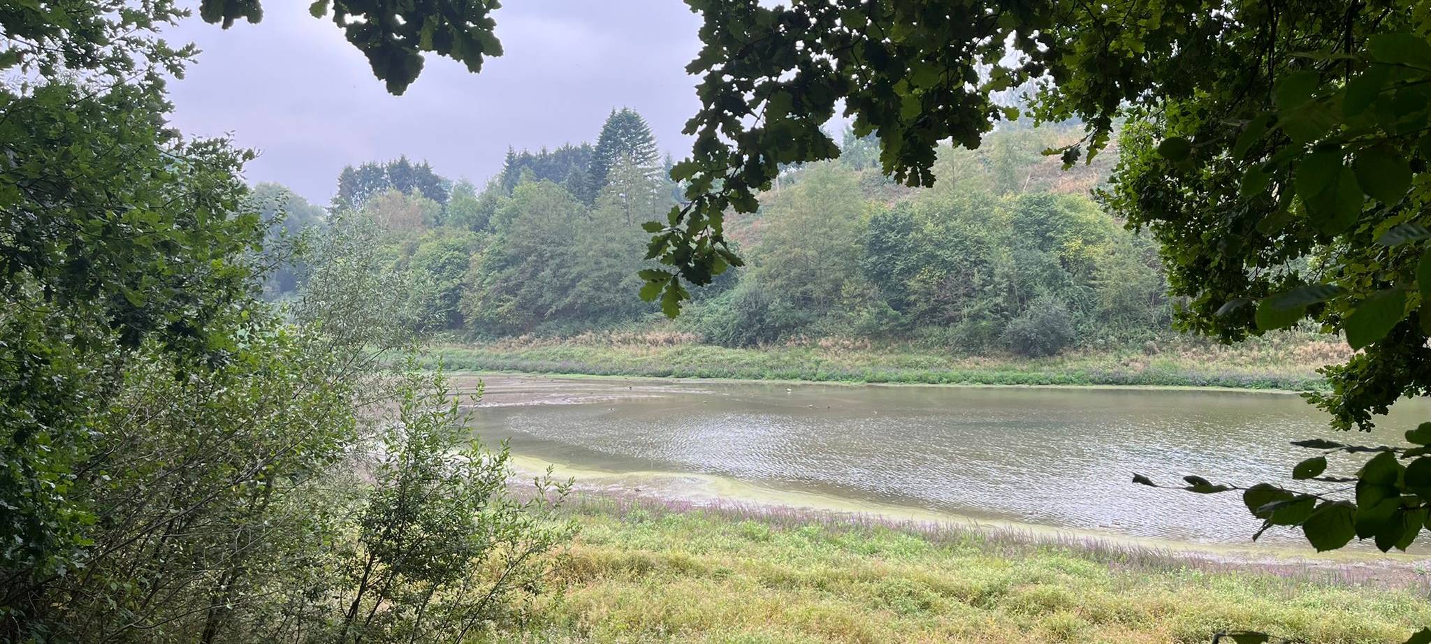 Leverkusen: Diepentalsperre soll zukunftssicher werden