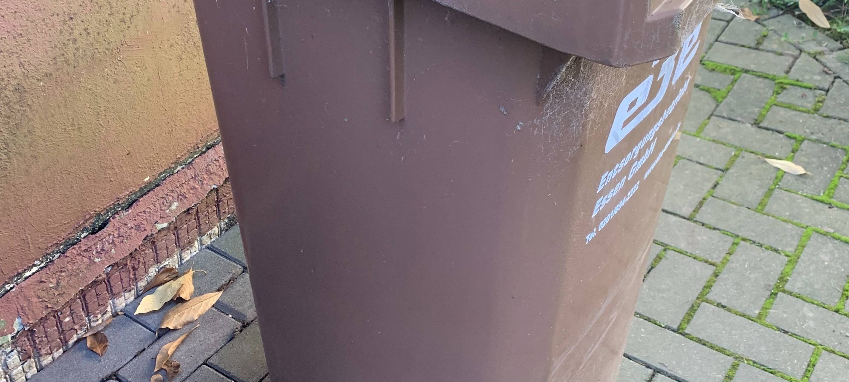 Biomüll in Leverkusen hat Spitzenqualität