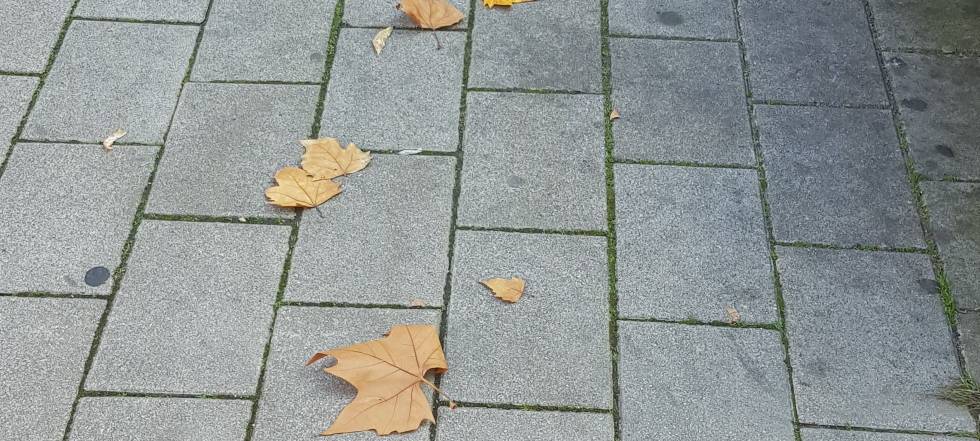 CDU Opladen fordert Putzplan