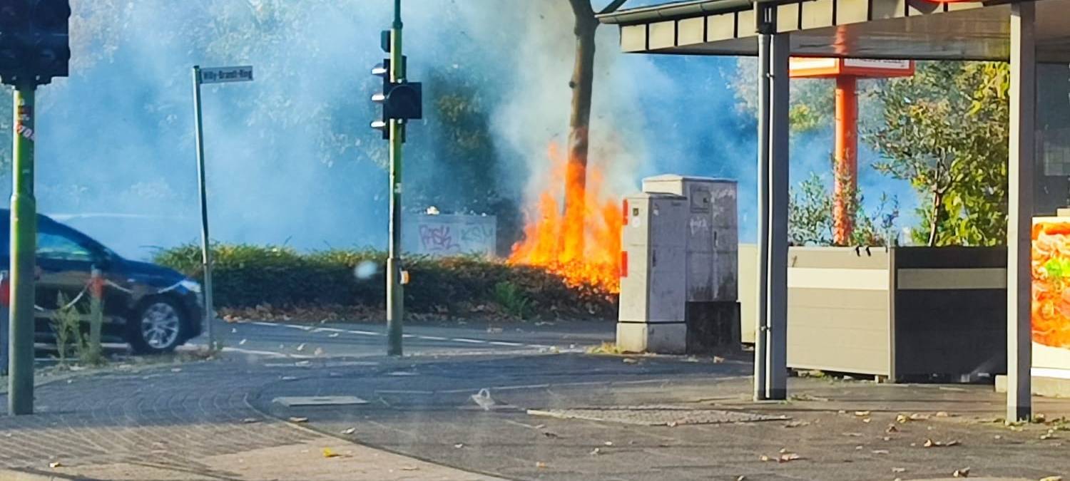 Drei Brände und ein Fehlalarm