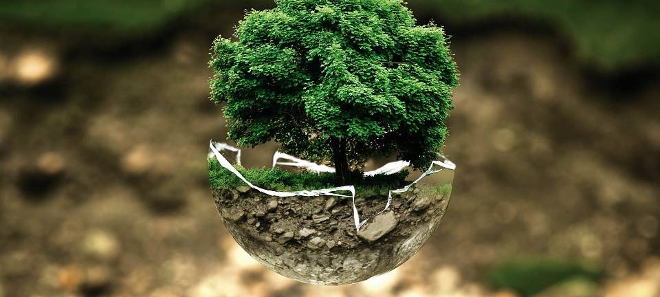 Naturschutz-Organisationen haben Mitglieder-Boom