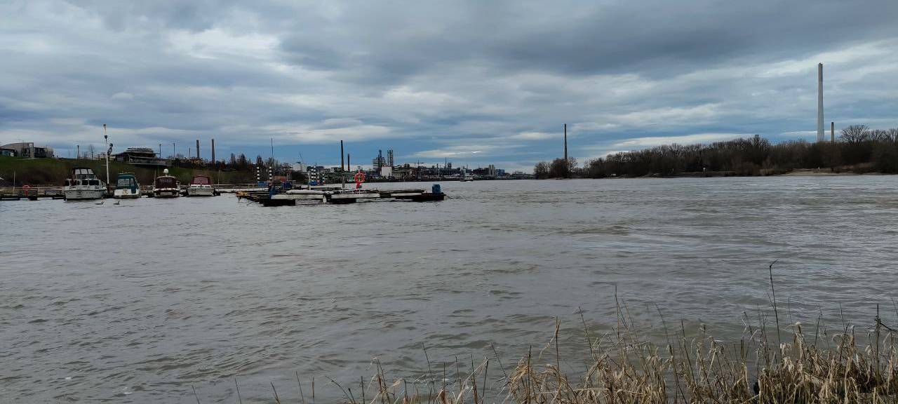 Mikroplastik im Rhein bei Leverkusen: Neue Greenpeace-Analyse zeigt alarmierende Werte