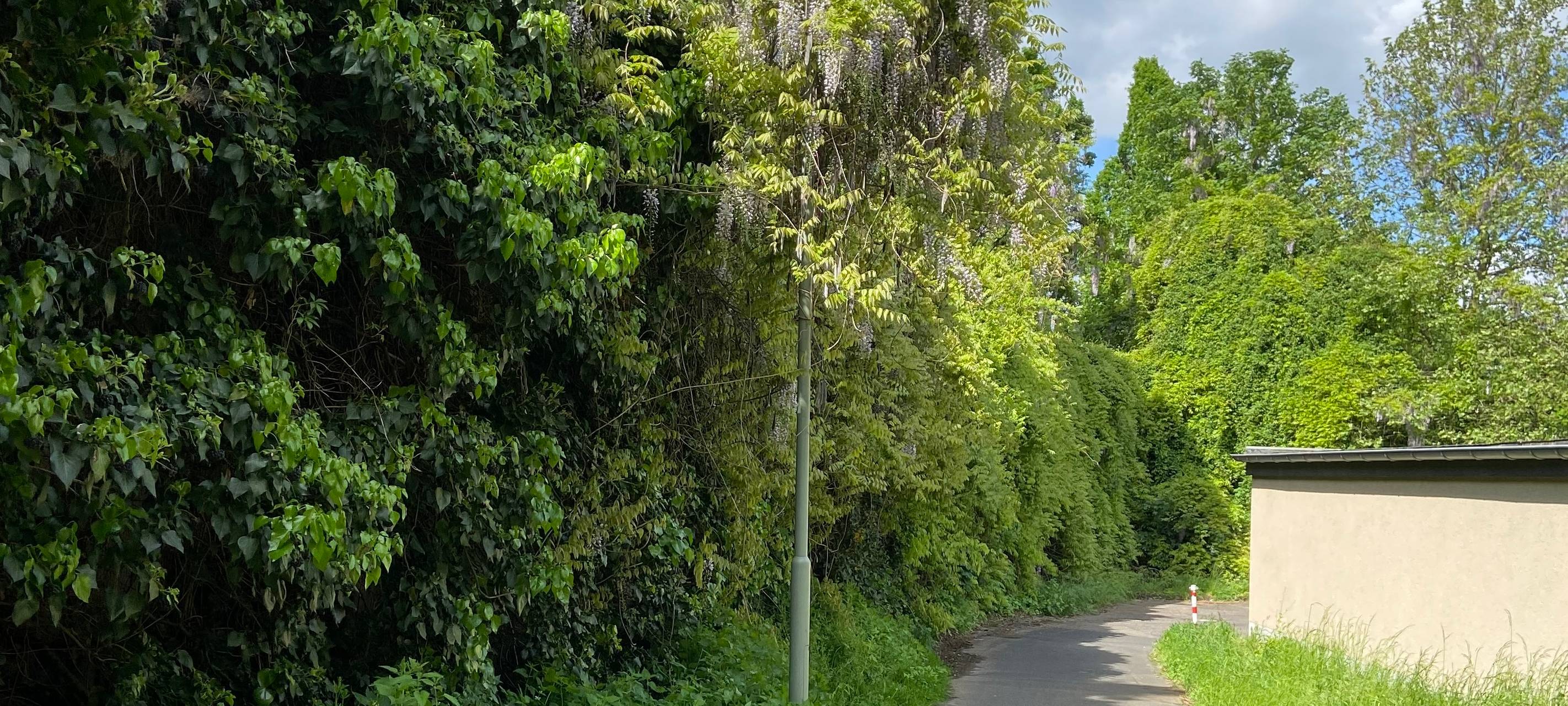 Fahrradklima-Test: ADFC Leverkusen ruft zum Mitmachen auf