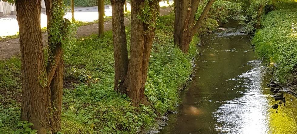 8.000-Euro-Zaun: Sinnvoll?