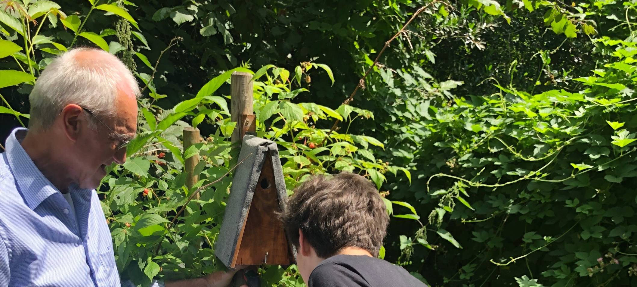 Vogelschutzkästen für Schule an der Wupper in Leverkusen