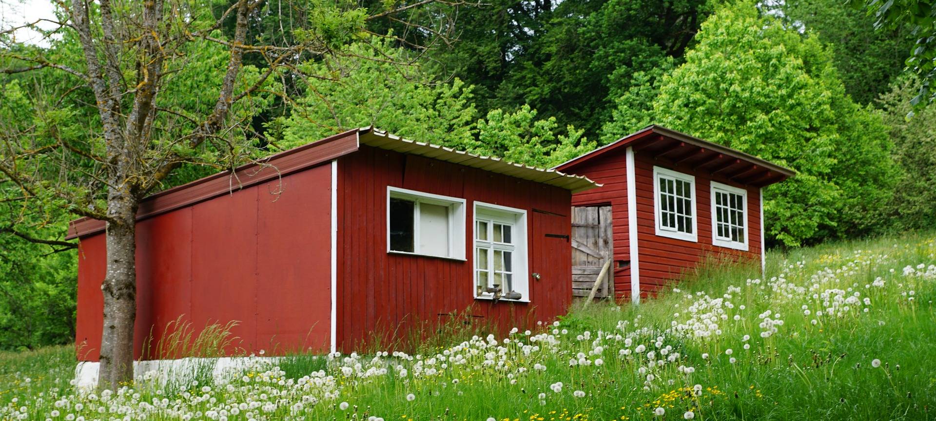 Mini-Häuser gegen Wohnraum-Mangel?