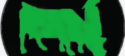 Ampelfrau Paulinchen