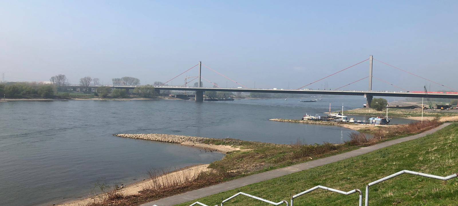 Bald Wasserbusse auf dem Rhein?