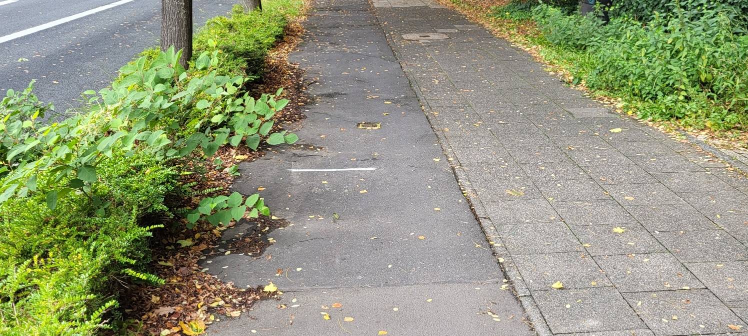 CDU fordert Radweg-Sanierung in Opladen