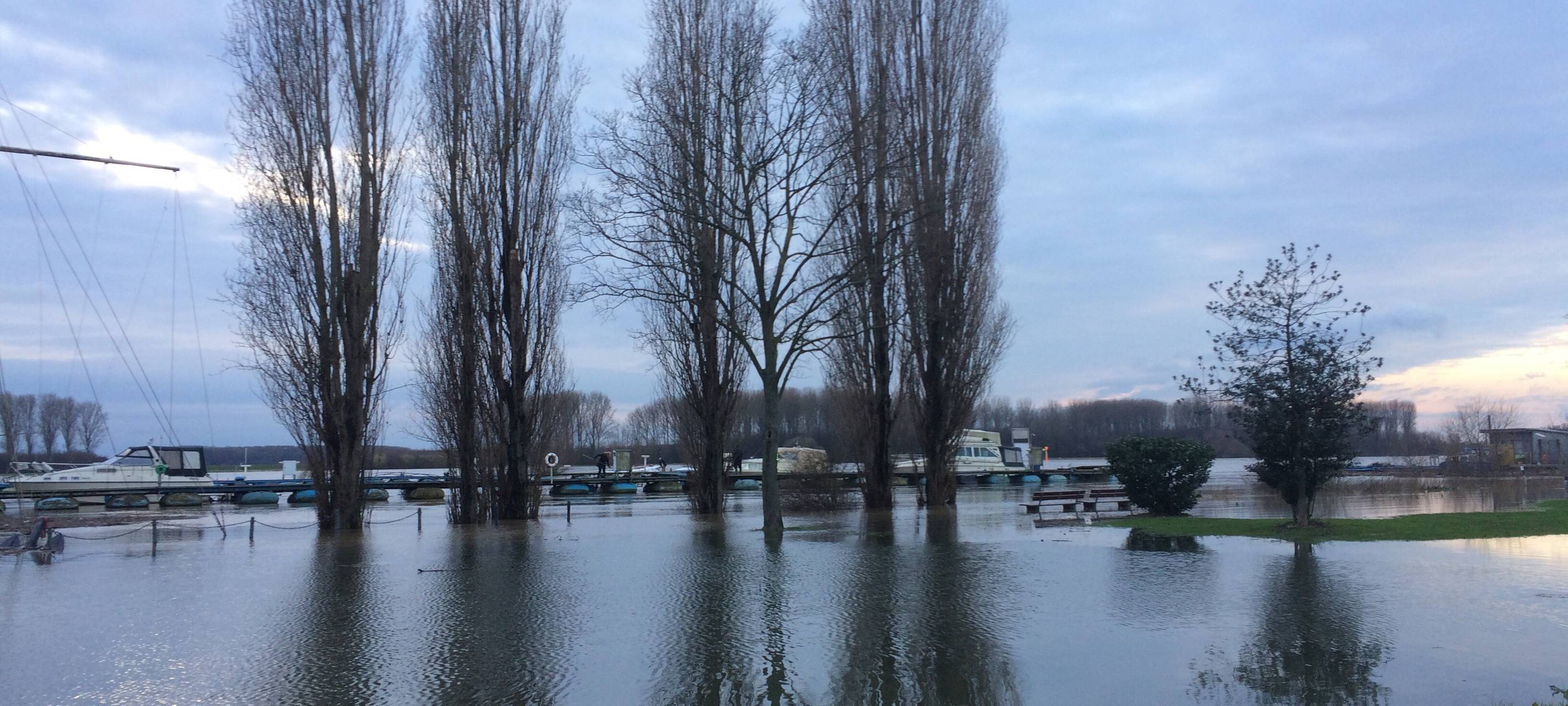 Leverkusener Rheinpegel steigt weiter