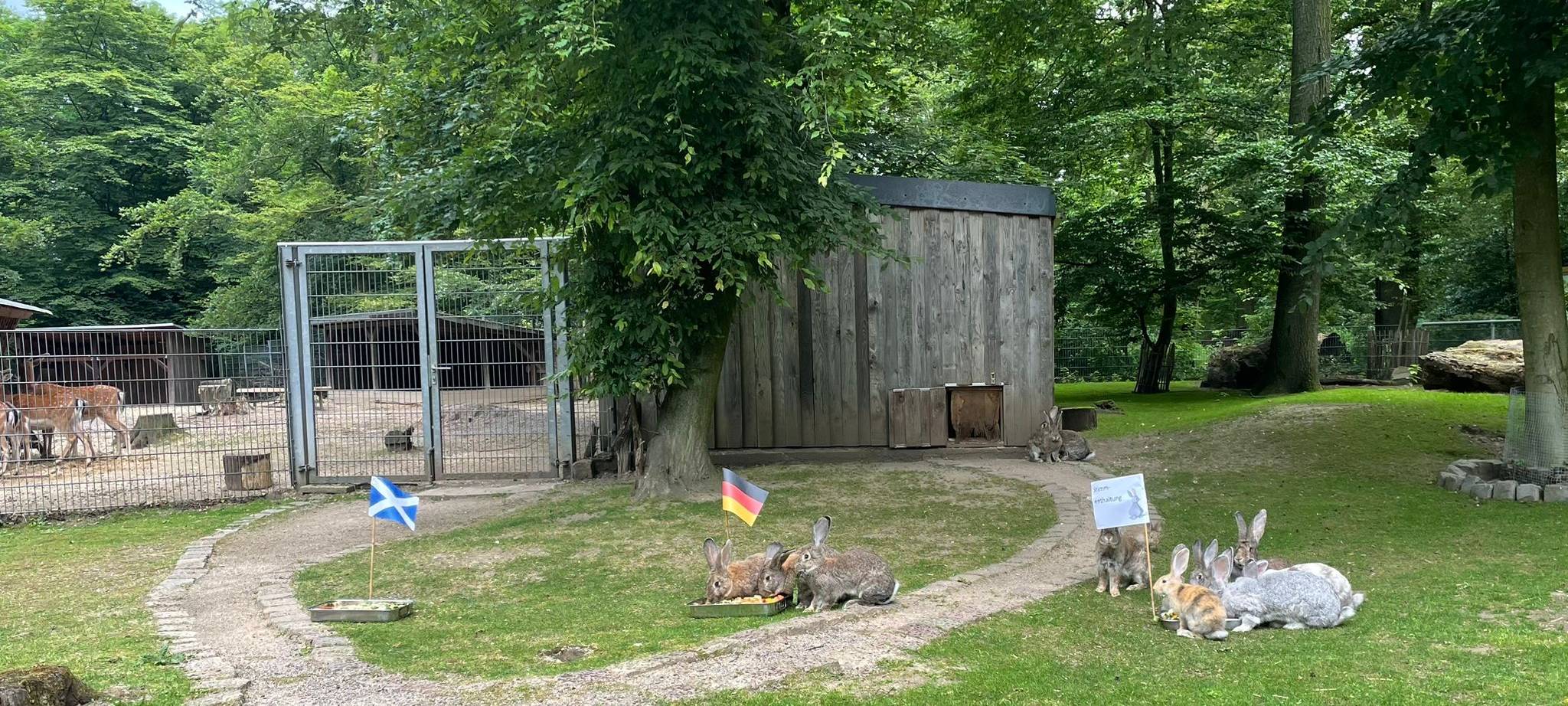 Leverkusener EM Orakel für Deutschland