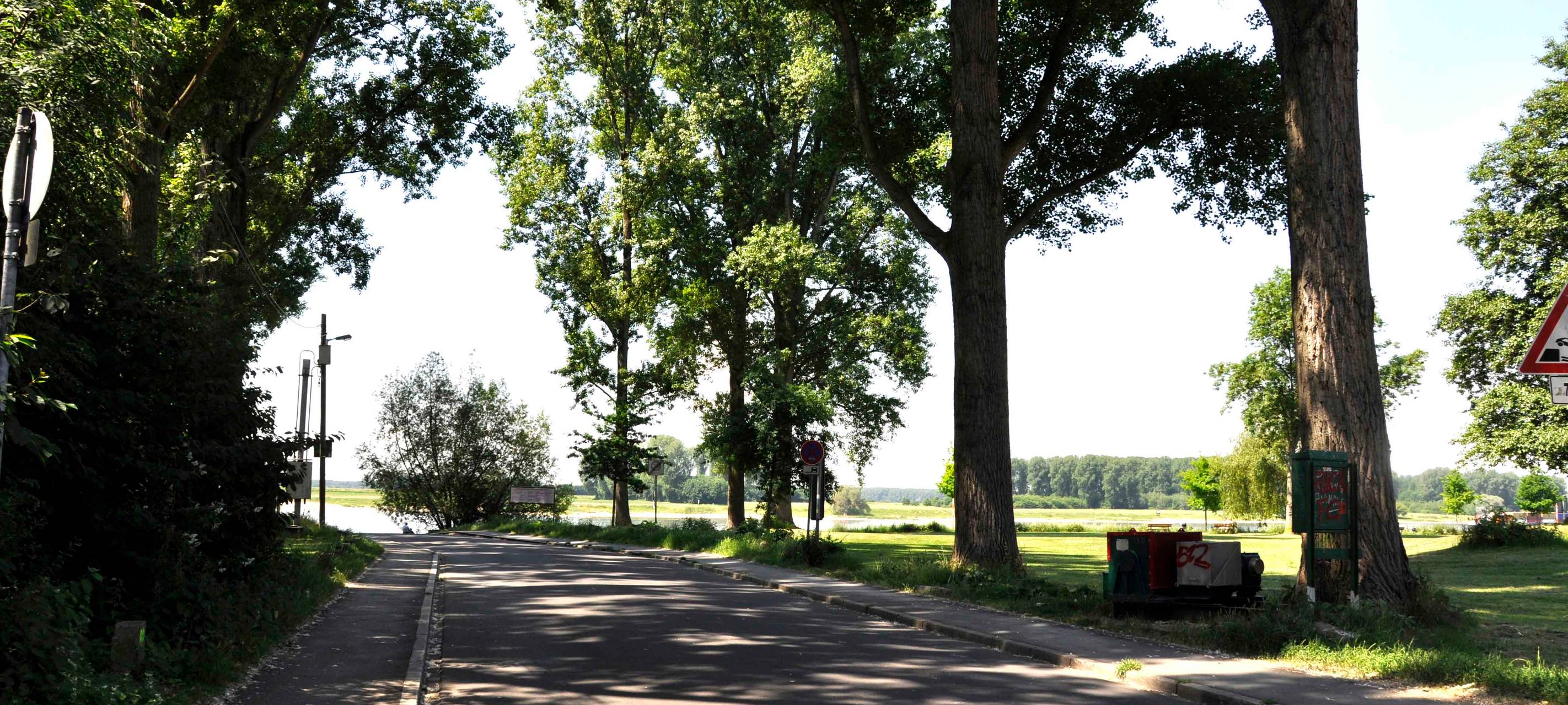 Leverkusener Fähre startet Testbetrieb