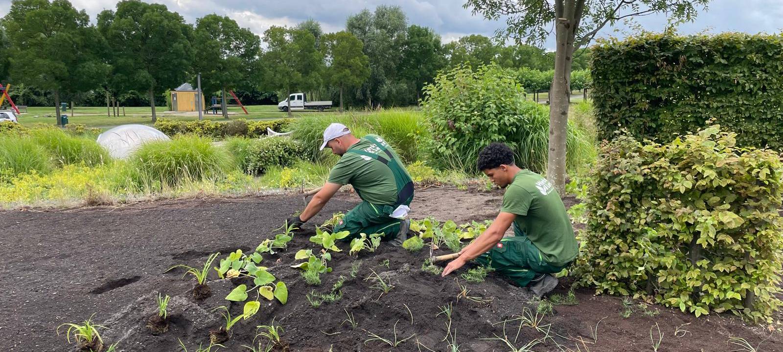 Neulandpark in Leverkusen: So geht klimaresistent