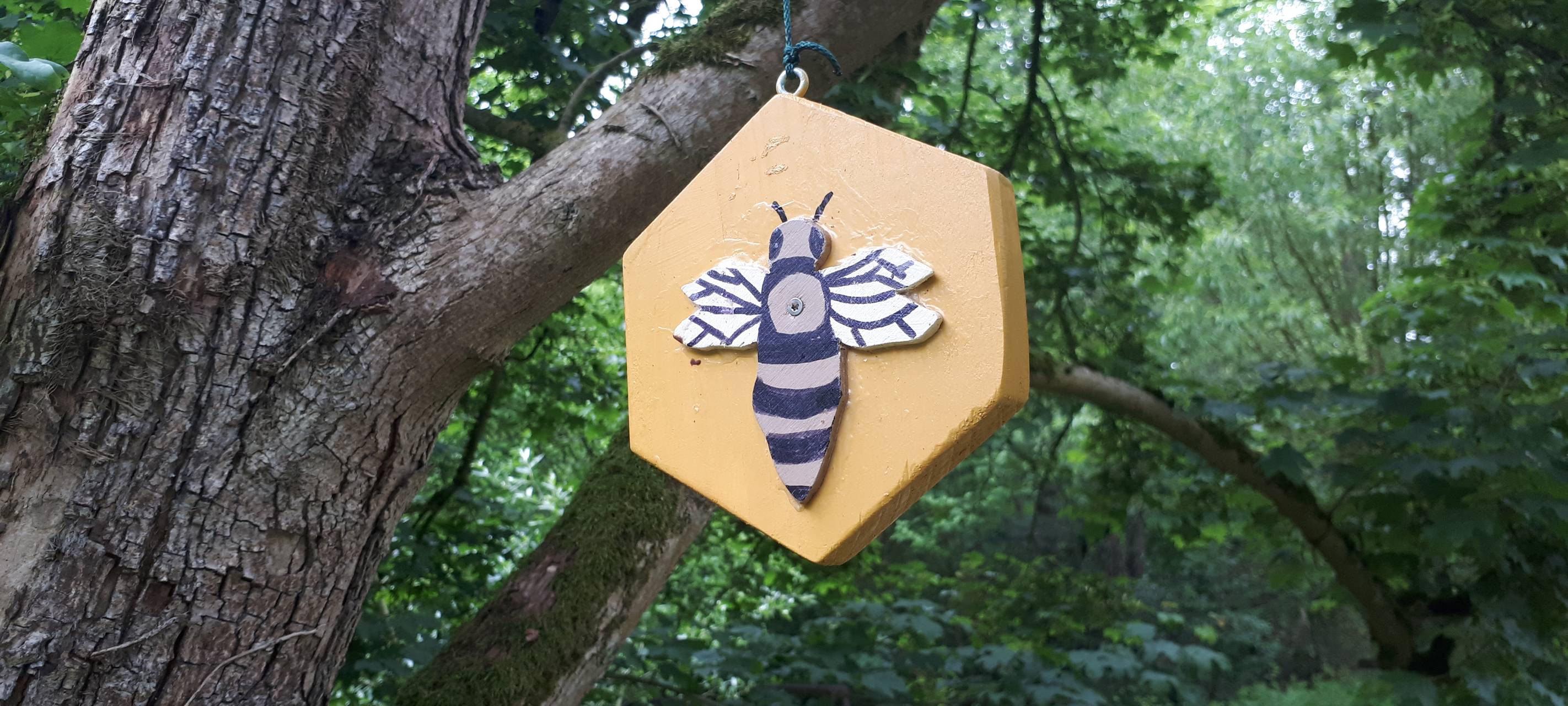 Bienen, Naturgut Ophoven, Weltbienentag, Bienensterben, Bienenfreundlich, Insekten, Insektensterben,