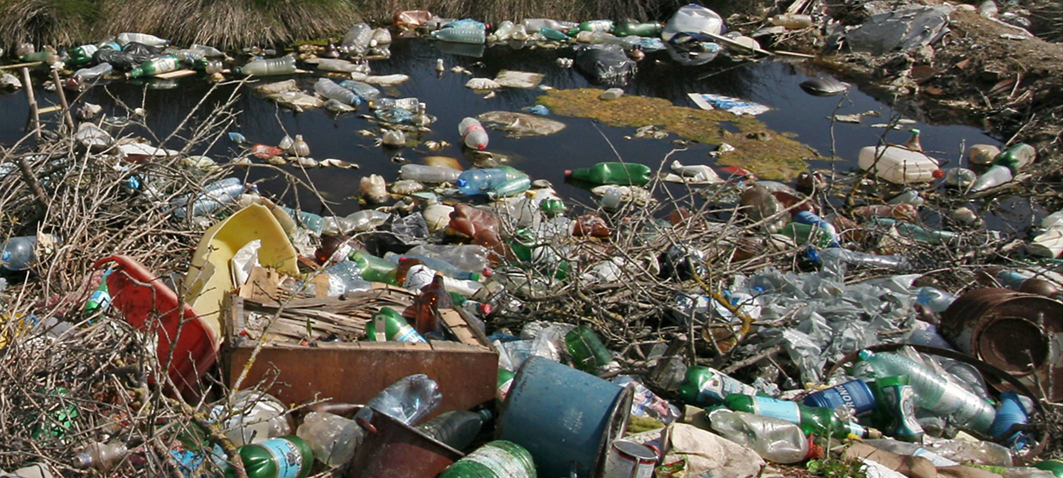 Müllsammelaktion am Wupperufer: Gemeinsam für eine saubere Umwelt in Leverkusen