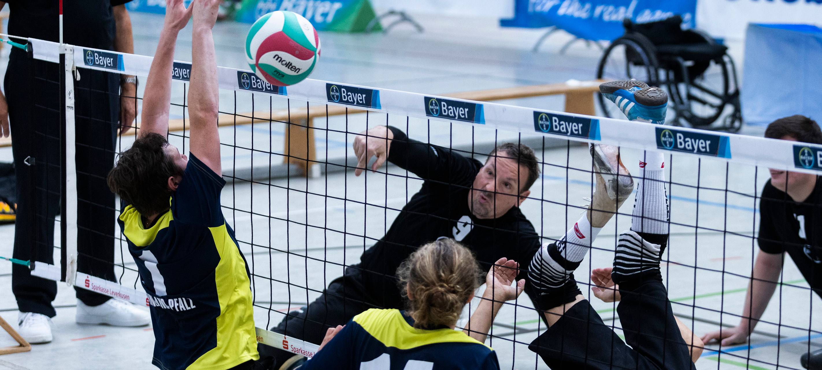 Europäischer Sitzvolleyball-Wettkampf in Leverkusen