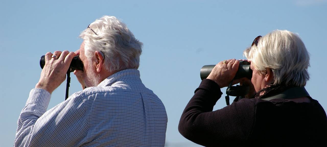 Leverkusen: Verlieben und Natur schützen