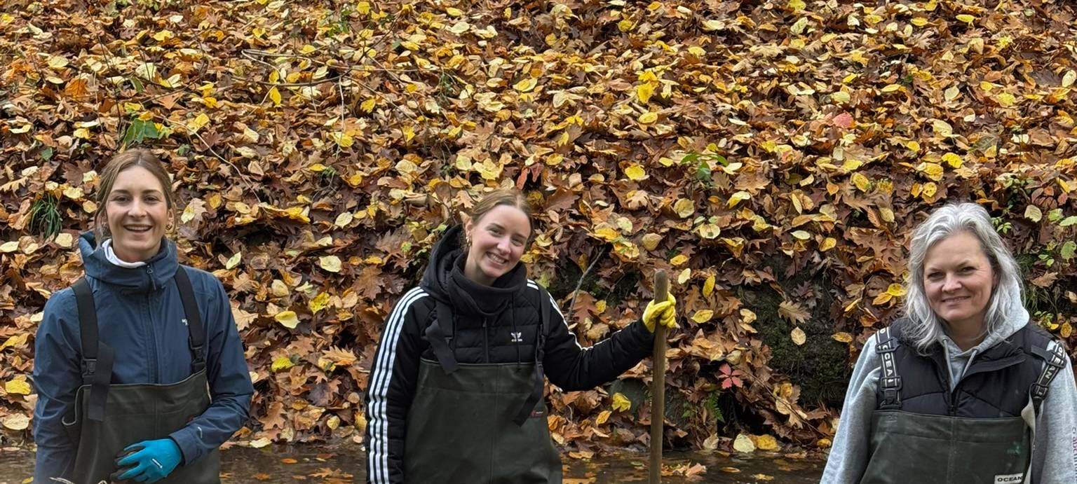 Firmen engagieren sich für Naturschutz in Leverkusen