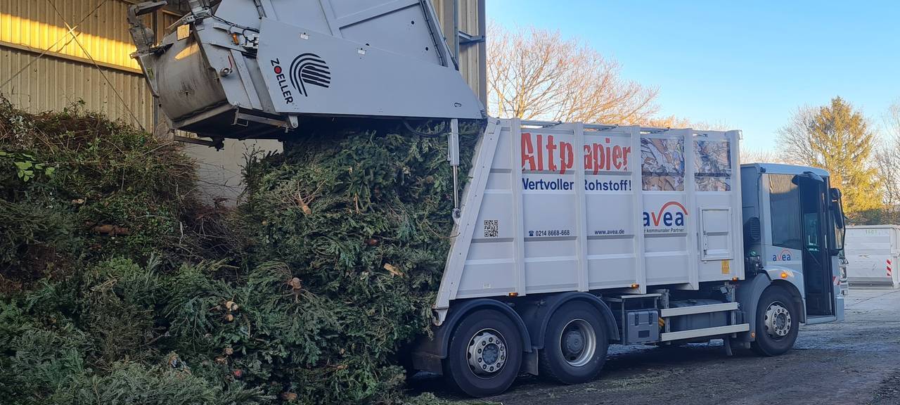 Raus mit dem alten Weihnachtsbaum: Abholung startet am 12. Januar in Leverkusen