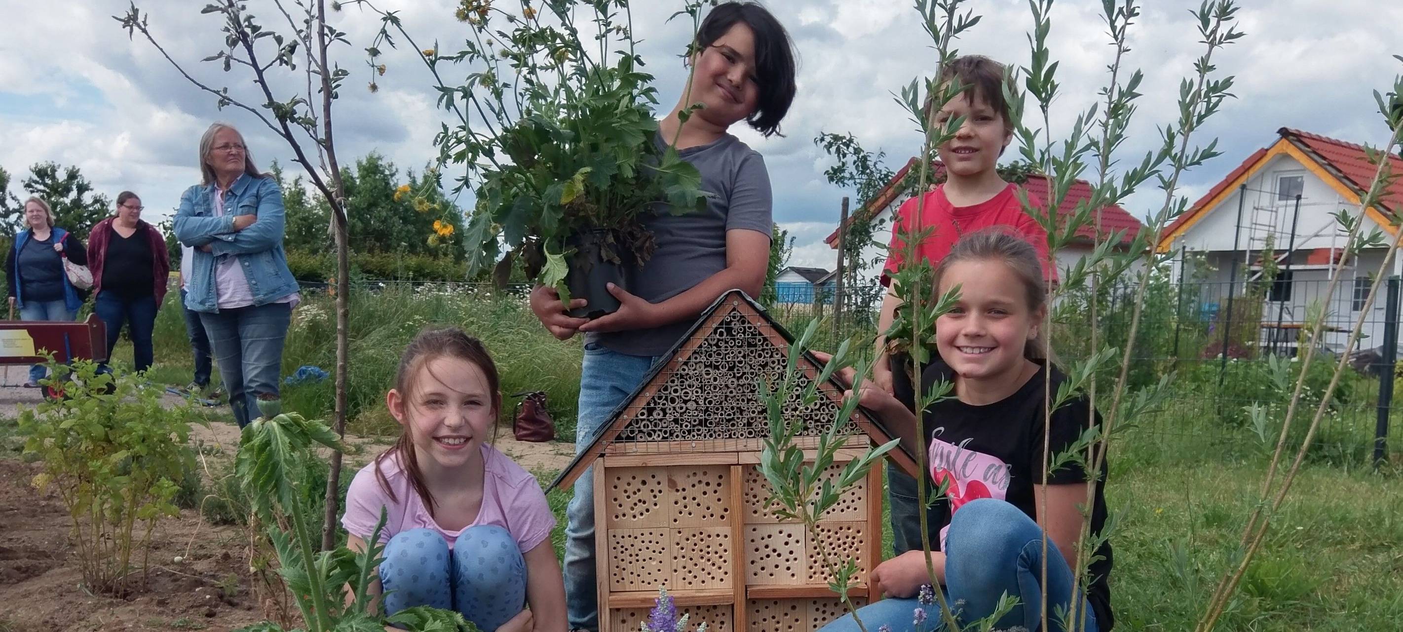 Insekten, Insektenhotel, Hotel für Insekten, Schulen, Tierhotel