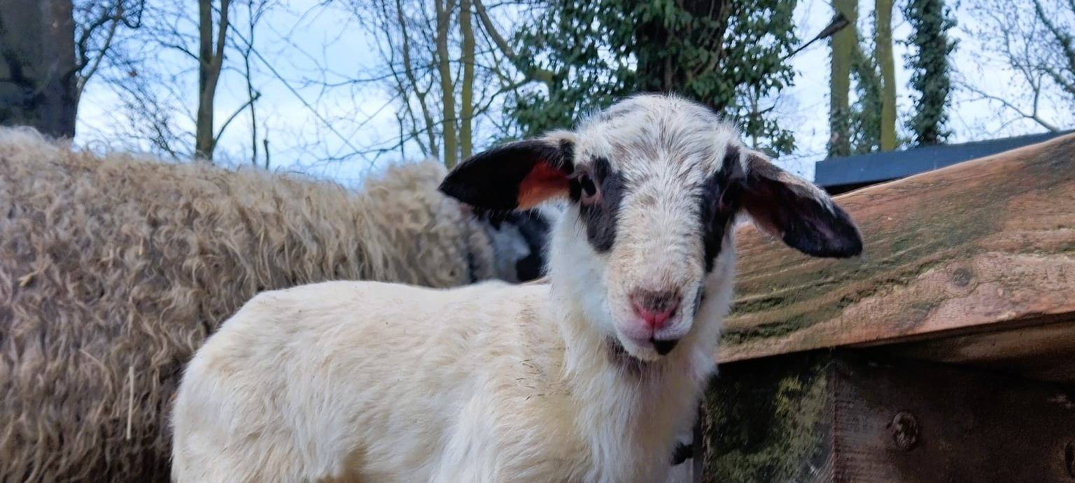 Tierischer Nachwuchs in Leverkusen