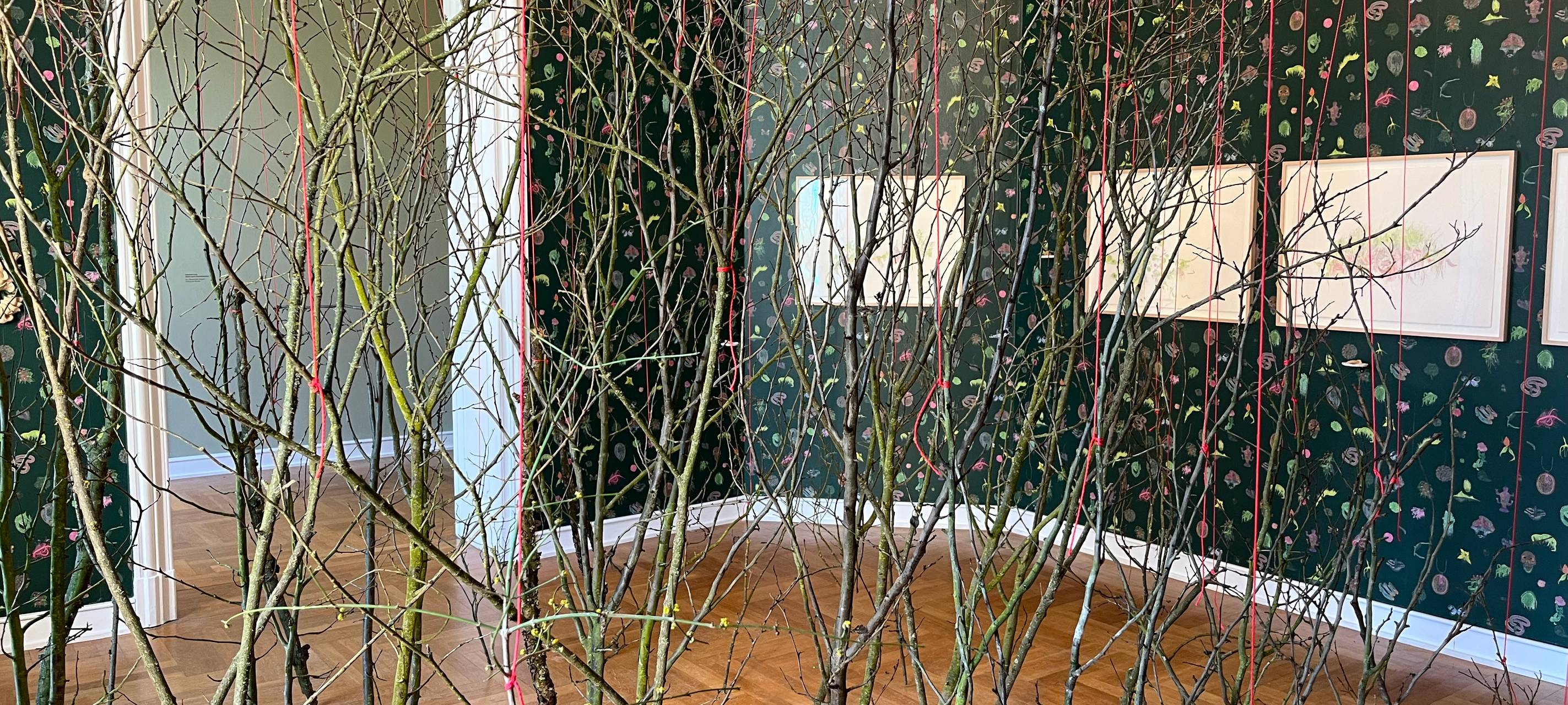 Leverkusener Museum feiert Jubiläum: Tiere und Pflanzen werden Teil des Museums Morsbroich