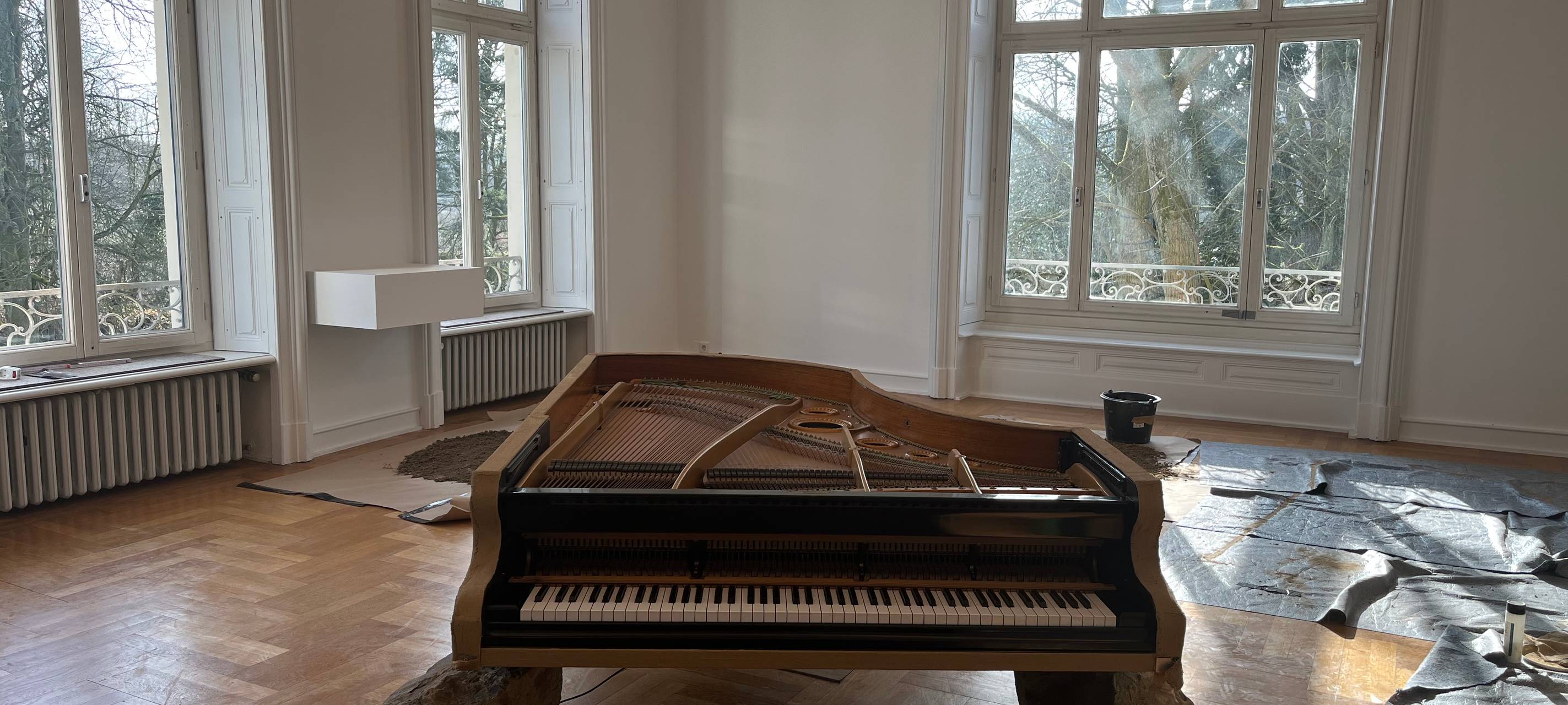 Leverkusener Museum feiert Jubiläum: Tiere und Pflanzen werden Teil des Museums Morsbroich