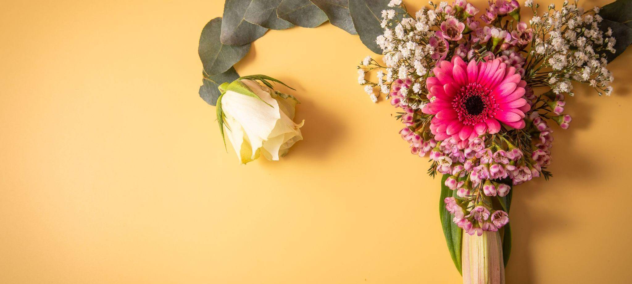 Weibliches Reproduktionssystem aus Blumen