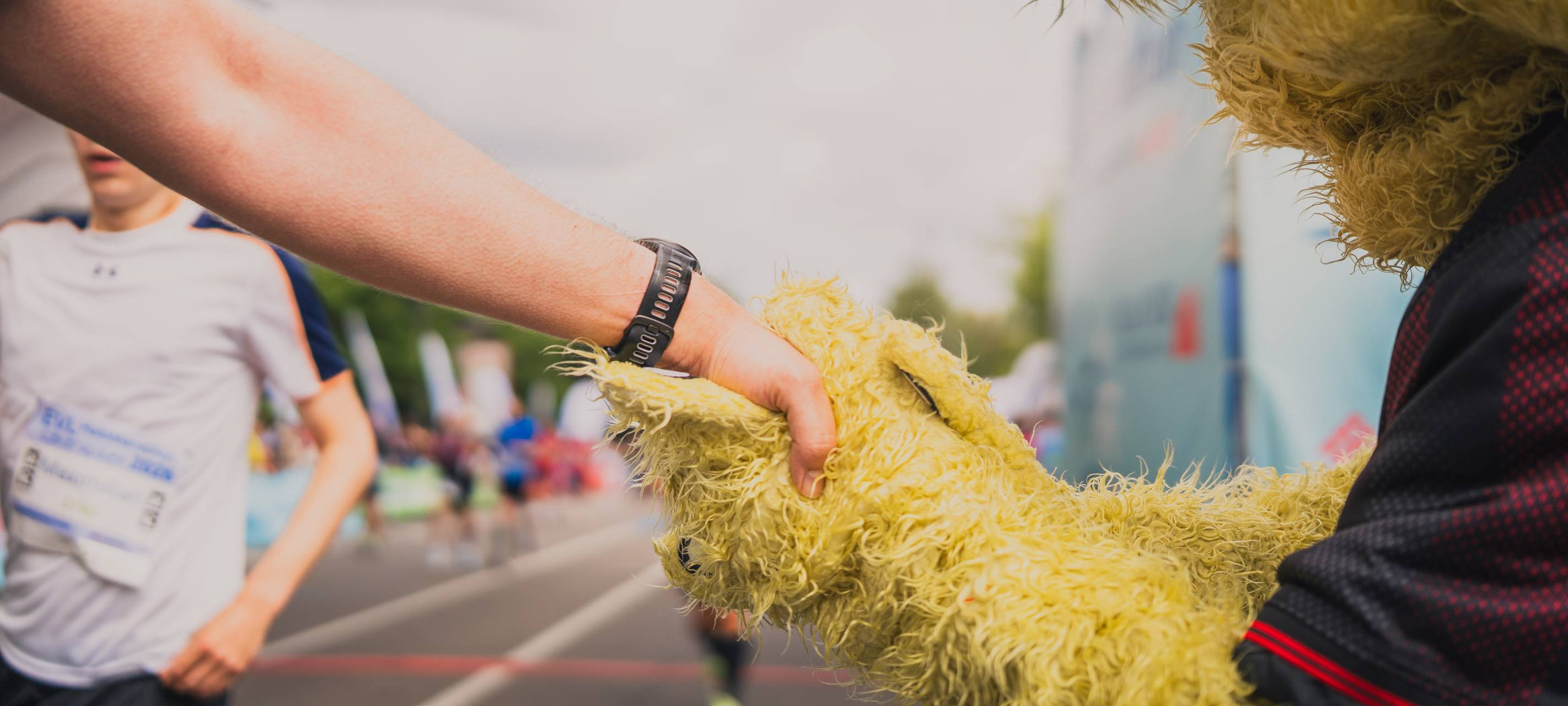 Das war der EVL-Halbmarathon 2026