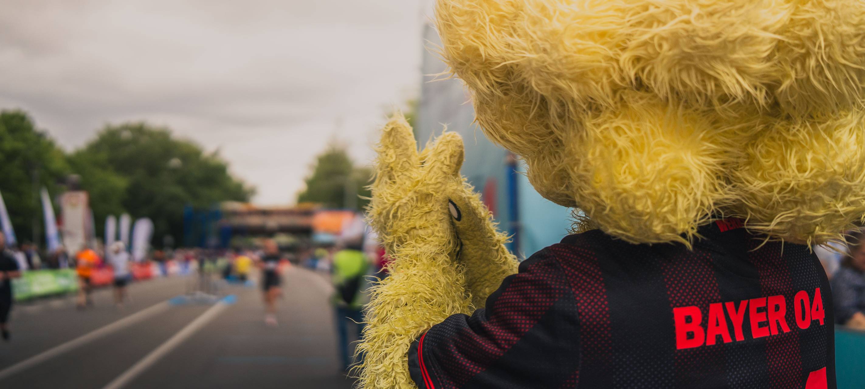 Das war der EVL-Halbmarathon 2026