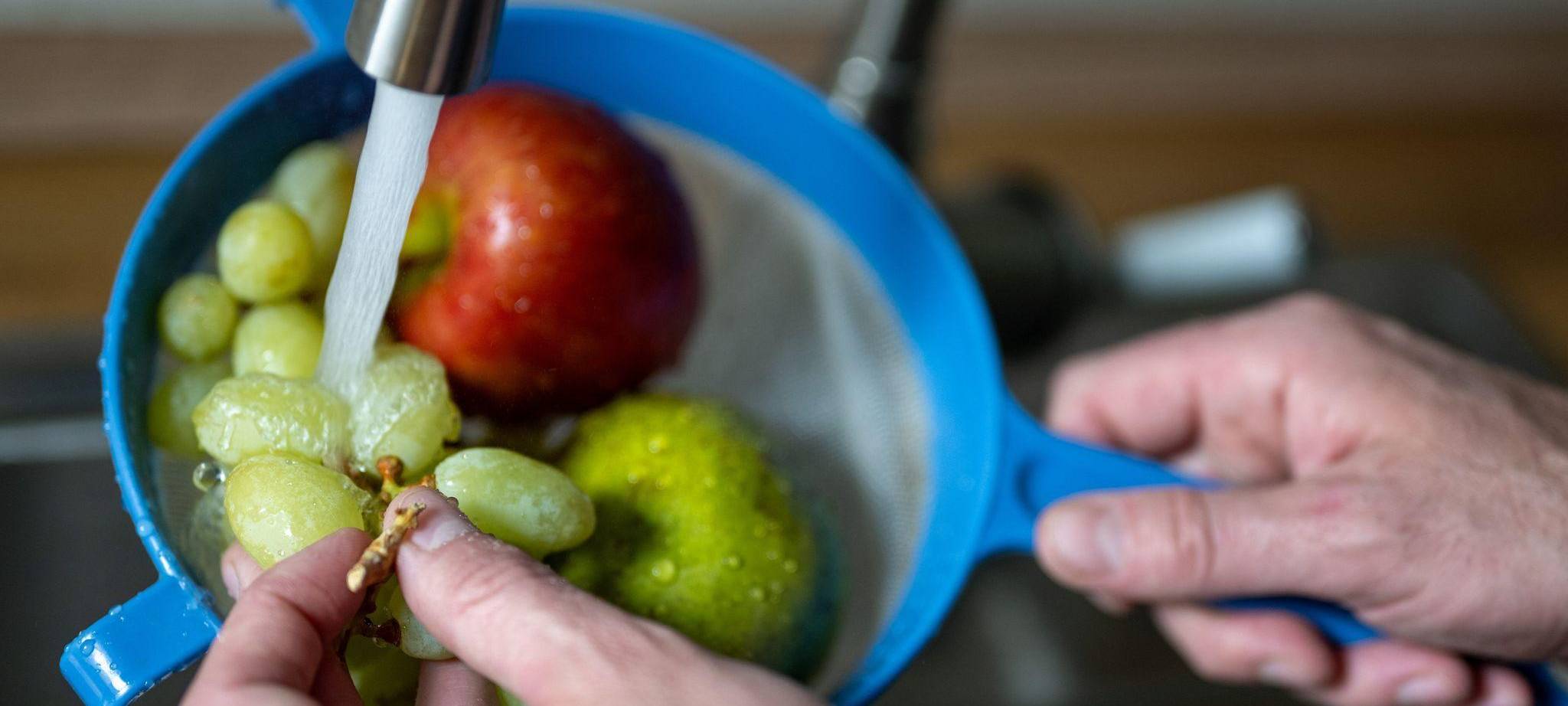 Obst wird unter fließendem Wasser gewaschen