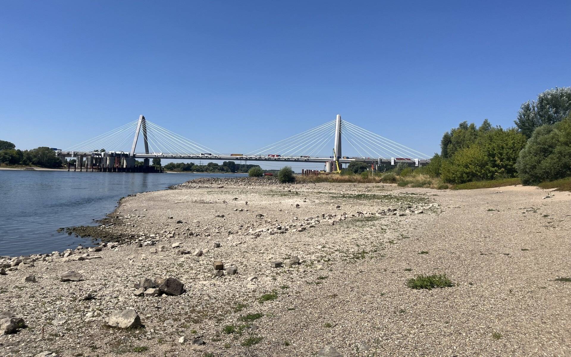 Niedrigwasser in Leverkusen: Schnelle Optimierung gefordert
