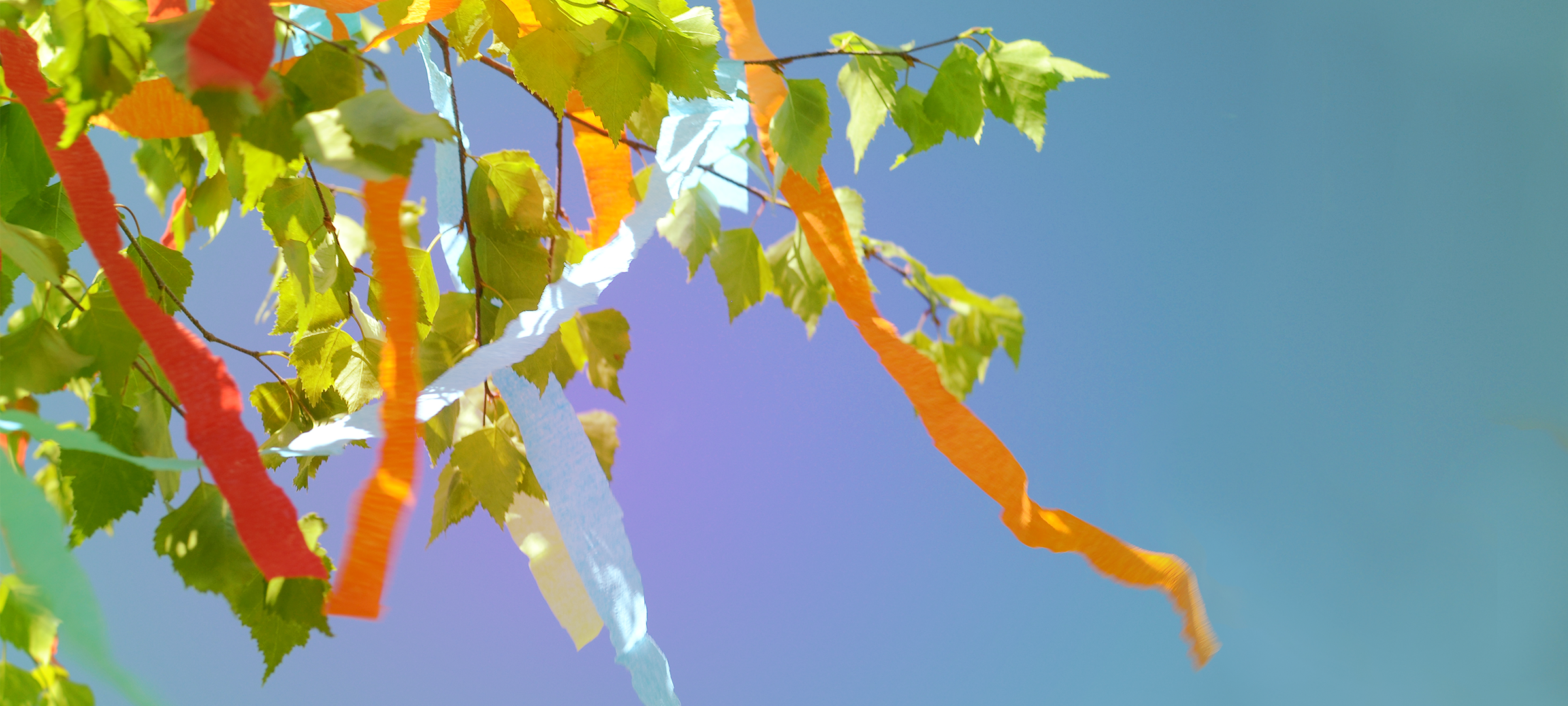 Maibaumverkauf im Leverkusener Neulandpark