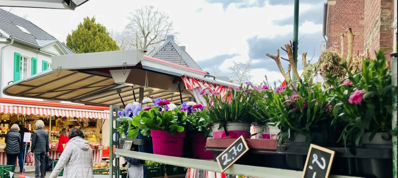 Leverkusen: Blühendes Schlebusch lockt viele Besucher