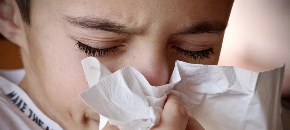Allergiesaison in Leverkusen geht langsam los